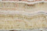 Polished Banded Travertine Slab - New Mexico #324326-1